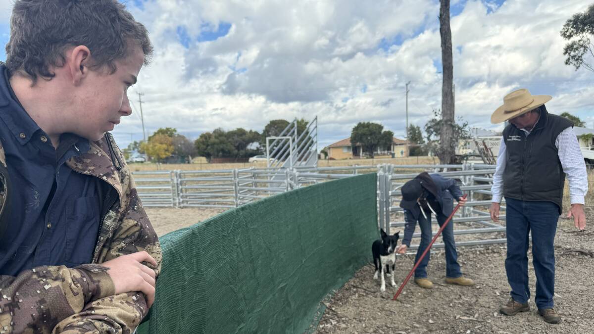 Working dog trainer Matt Ehsman shows students basic dog obedience as well as commands for handling livestock.