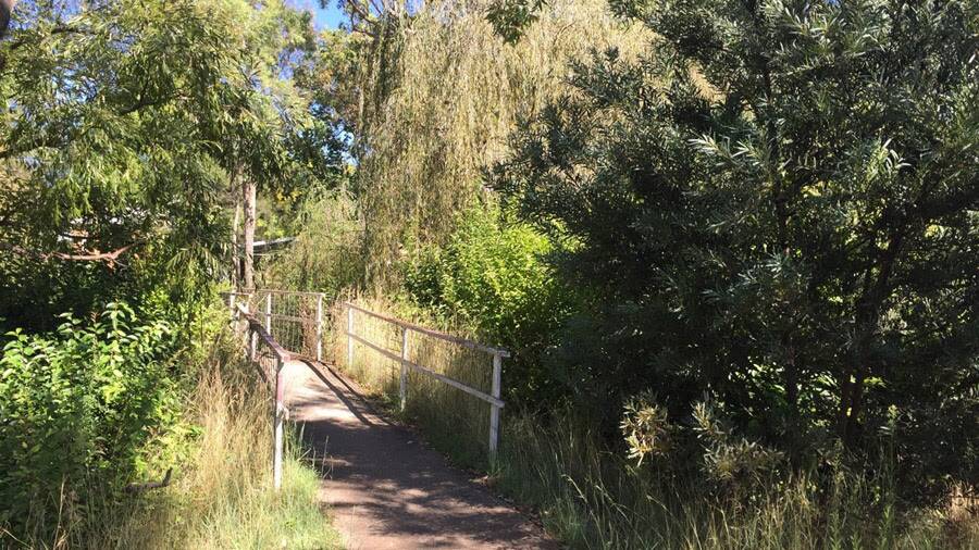 Experts will clear between Gilgai Public Hall, along the Gilgai Creek and up to the small wooden bridge over the creek of weeds, including blackberries, willows and some fruit trees.