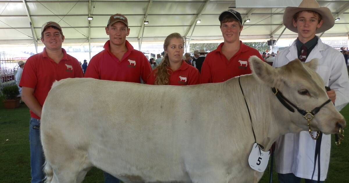 Macintyre students show cattle at Royal Easter Show The Inverell